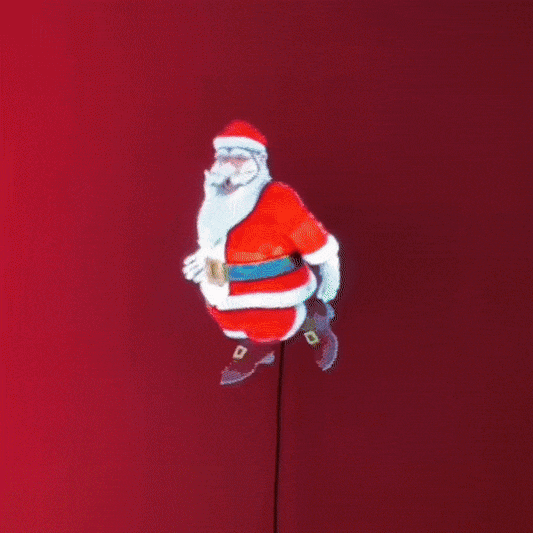 Rio Holoscopic 3D  Projector™