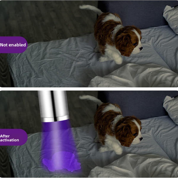 Zen UV Light