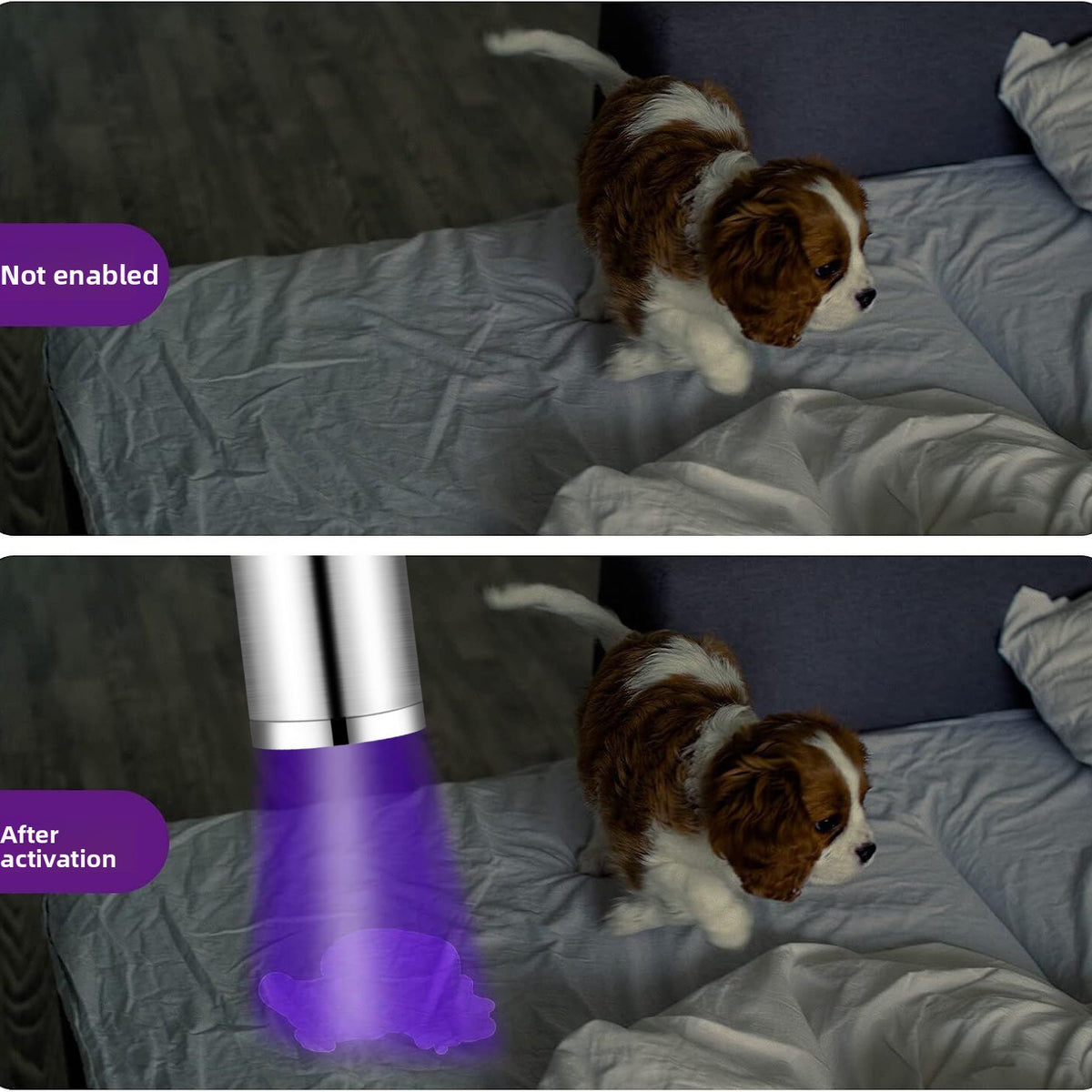 Zen UV Light