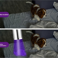 Zen UV Light